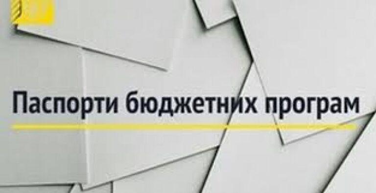 ПАСПОРТ бюджетної програми місцевого бюджету на 2020 рік