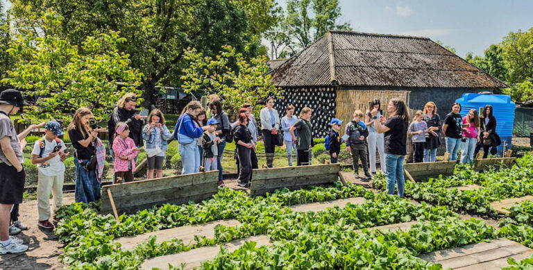 ЛІКУВАННЯ ЧЕРЕЗ ДОТИК ДО ПРИРОДИ